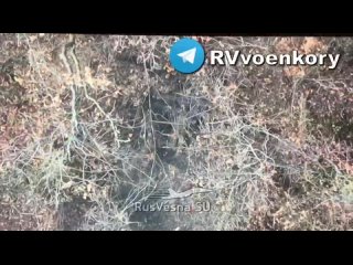 best молодые провал наступления всу в приграничье харьковской области идут бои танки бмп ббм и пикапы с пехотой всу трет best