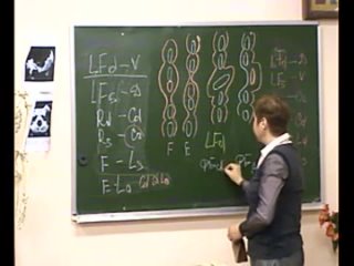 best мануальная терапия функциональных блоков поясничного и грудного отдела позвоночника best