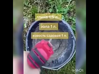 best лечим нашу яблоню рекомендую воспользоваться советом best