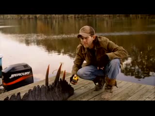 best земля аллигаторов 2013 zemlya alligatorov 2013 ragin cajun redneck gators 2013 best