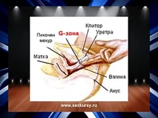 best секрет точки g как найти и довести до оргазма точки джи best
