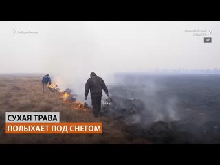 best тундра полыхает несмотря на морозы сибирь реалии best