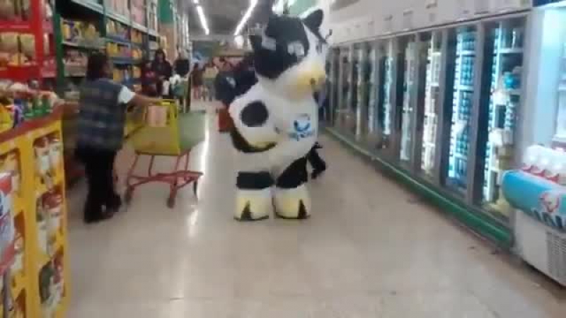 best танцующая корова юмор приколы смешное видео и анекдоты на comumorgoodday best