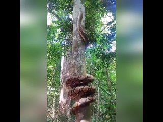 best испугались может надо громче кричать best