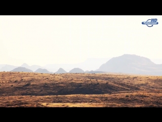 best на грани отчаяния или как заблудиться в пустыне driven to despair the idiots guide to getting lost in the desert best