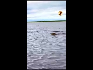 best видео от шестьвосемь 68 верхняя пышма среднеуральск 360p mp4 best