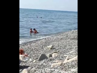 best в сочи пока муж спал на пляже жена рядом изменяла ему с другом best