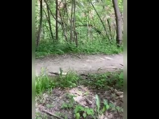 best старый эксгибиционист попался в лесном массиве новосибирска best