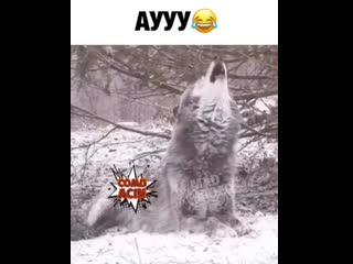 best видео от запретный город костанай рудный лисаковск best
