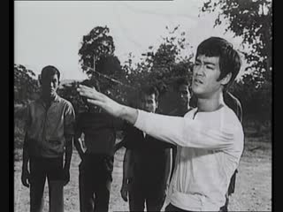 best брюс ли проклятье дракона bruce lee the curse of the dragon 1993 best