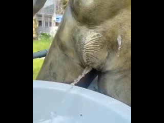 best видео от crazy humor best