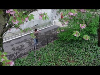 best zhuyilong красивые пейзажи верховая езда фильмы все хорошее что встречается во время путешествия драгоценно best