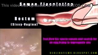 best как достигнуть анальный оргазм обязательно к просмотру sissy shemale trap orgasm cum sex slut best