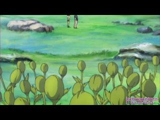 best хентай hotaruko хотаруко маленький светлячок 01 рус озвучка best