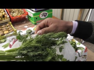 best таджик из ленинабада худжанд торгует на базаре в россии цены не высокие и дает попробовать best