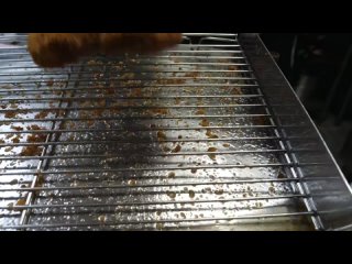 best 20 햄 더블 치즈 돈까스 40년 전통경양식 ham double cheese pork cutlet korean street food best