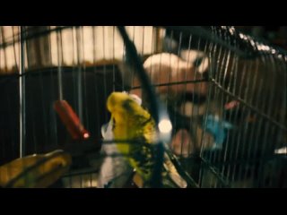 best ух какая сиськи и попка натали дормер в фильме гонка восхитительно сиськине порноне э best