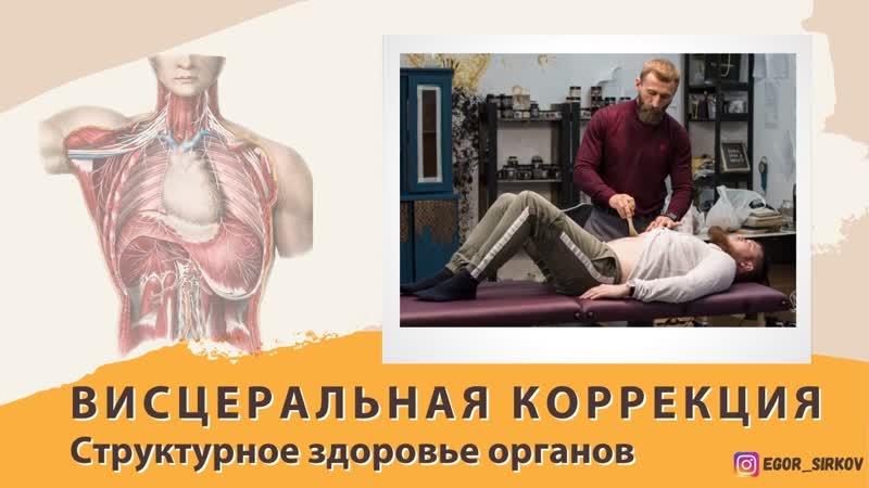 best висцеральная коррекция структурное здоровье органов best