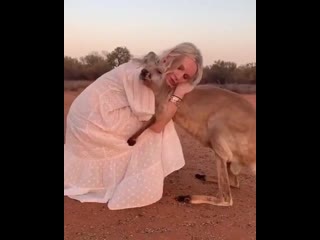 best центр спасения детенышей кенгуру в alice springs kangaroo sanctuary best