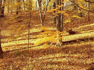 best частина третья концера співачки светлани макаренко в українському культурному центрі 2010 р укц вже нема забрал best