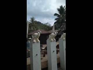 best doutahar vid 20190306 084405 mp4 best