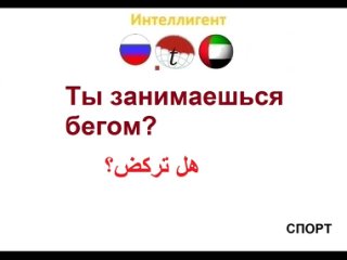 best ты занимаешься бегом фразы на арабском языке изучение арабского языка переводы на арабский язык best