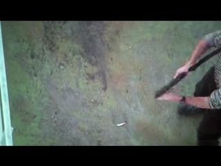 best fhoto mov 0162 best