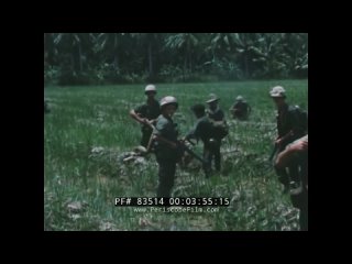 best vietnam war dailies jungle patrol recon mission vietnamese prisoner interrogation best