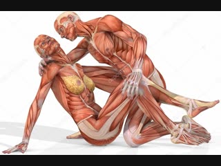 best интимные отношения брак и семья семейные проблемы и развод факторы развода best