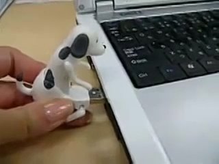 best трахни реальность молодые флешка best