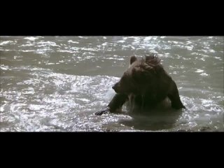 best стой до конца и не вздумай сломаться самбука беркова грей сосёт минет анал орал порно секс лига чемпионов best