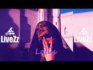 best free doja cat x shawn mendes x camila cabello type beat lotus reggaeton x pop type beat best
