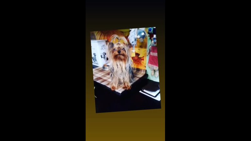 best meth vid 19871002 010414 802 mp4 best