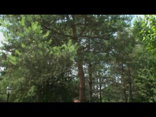 best katarina hartlova 3 prowling for pud эротические массажи фильмы и актрисы 18 best