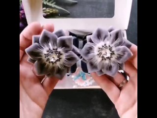 best belt vid 23840611 002737 899 mp4 best