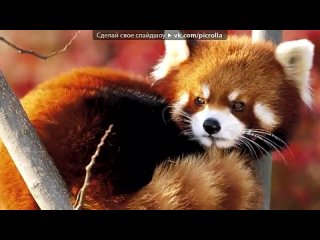 best красивые фото fotiko ru под музыку неизвестный исполнитель zomp3 ru в конце фильма 4 strings and samantha fox ирина best