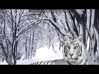 best i love i porn i want под музыку лоя зачем ей все шелка цветные облаказачем все это зачемклассная песня best