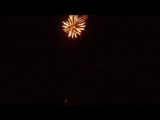 best レディー mov 0099 mp4 best