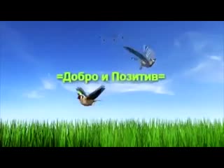best сука ты конченая козлина ты ёбаная блять дибил ты ёбаный блять ты гандон блять п best
