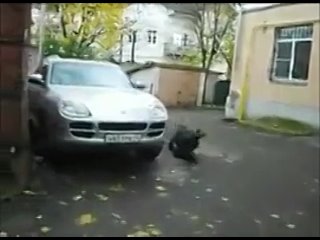 best фирменная вертушечка доказательство что не ахахх слабонерным не смотреть порно порнух best