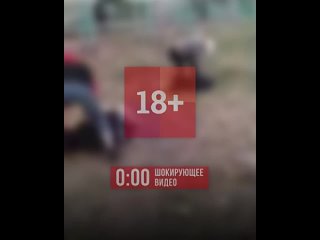 best давай не жалей его на урале компания молодые жестоко избила двоих школьников и сняла всё на видео best