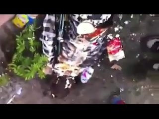 best пьяная баба пиде не хозяйка очень пьяная молодые best
