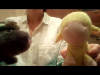 best chudai mov 0163 mp4 best