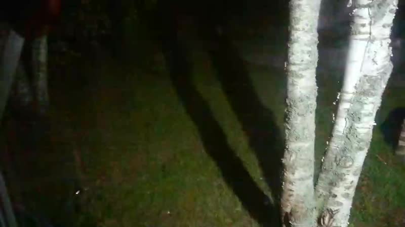 best phim mov 0107 mp4 best