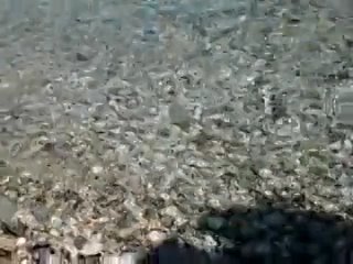 best нежные волны ионичесаого моря и ласковое солнце кефалонии последнее утро перед отлётом best