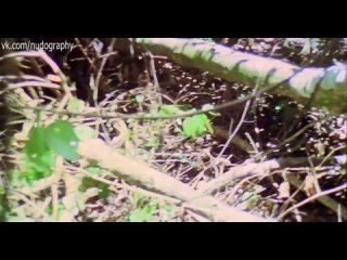 best молодые и секс франчески кьярди francesca ciardi в фильме ад каннибалов cannibal holocaust 1980 руджеро best