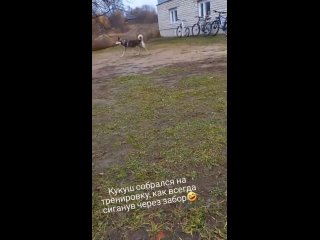 best seex vid 191680930 071011 272 mp4 best