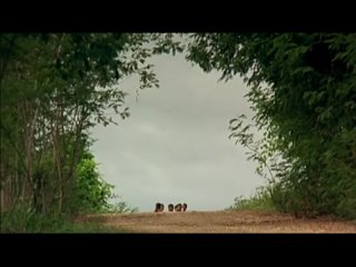 best моя первая любовь моя девочка w 2 клуб фильмы про мальчишек films about best