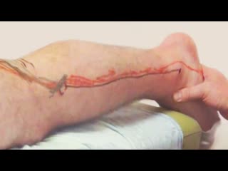 best артикуляция суставов в массаже диагностика и лечение с помощью артикуляции best