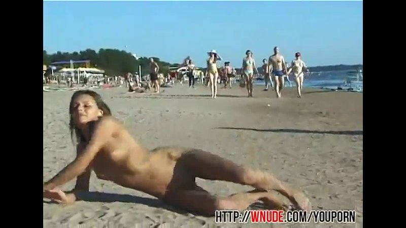 best riding horse at the beach best